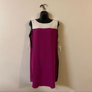 Calvin Klein Color Block Mini Dress